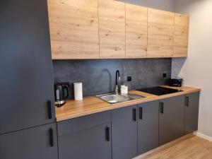 Imagen de la galería de Piękny apartament przy parku, blisko dworca, centrum Radom, en Radom