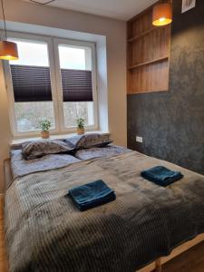 Imagen de la galería de Piękny apartament przy parku, blisko dworca, centrum Radom, en Radom 5 fotos más