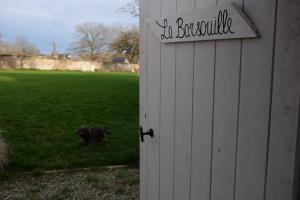 een zwarte hond die in het gras loopt naast een huis bij La Barsouille in Barsy