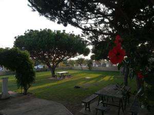 A garden outside El Vigía Beach. Mazagón