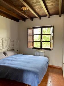 a bedroom with a large bed and a window at Casa y Apartamentos La Maestra in Arriondas