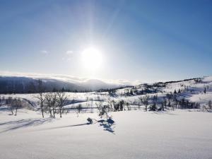 Korgfjellet Fjellstue as v zimě