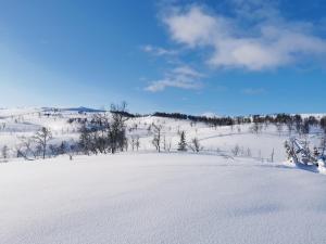 Korgfjellet Fjellstue as v zimě