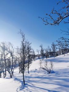 Korgfjellet Fjellstue as v zimě