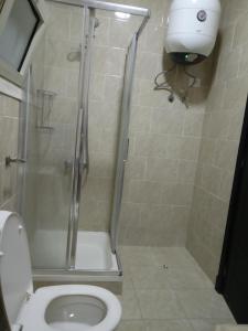 a bathroom with a shower stall and a toilet at شقه فندقيه بحديقه مستقله بالشيخ زايد in Sheikh Zayed