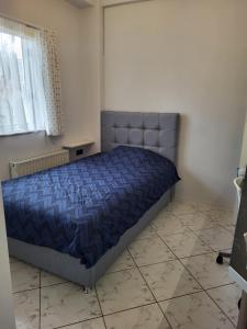 Postel nebo postele na pokoji v ubytování Villa Alexander