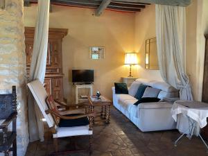 TV a/nebo společenská místnost v ubytování Domaine La Lauren avec piscine chauffée et jacuzzi