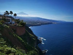 uma vista para a costa amalfi com palmeiras e o oceano em Home2Book Stunning Sea View Santa Úrsula em Santa Úrsula