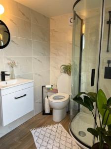 a bathroom with a toilet and a glass shower at Tiny guesthouse with cozy mezzanine sleeping nook in Swinderby