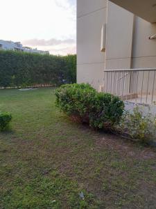 a building with two bushes next to a building at شقه فندقيه بحديقه مستقله بالشيخ زايد in Sheikh Zayed