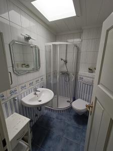 a bathroom with a shower and a sink and a toilet at Berliner Ring - Whg 26 in Wyk auf Föhr