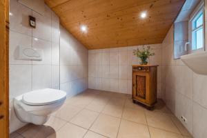 uma casa de banho com um WC e um lavatório em Ferienhaus Helga em Sankt Gallenkirch