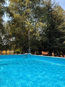 a blue swimming pool with a ladder in front of trees at Vikendice Stara Pruga in Gornji Milanovac
