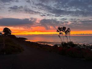 a sunset over the ocean with a tree in the foreground at The Coorie Inn @ Portobello, Edinburgh’s Seaside. in Edinburgh +15 photos