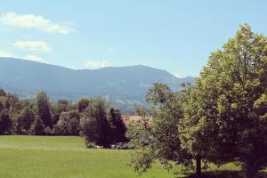 a tree in a field with mountains in the background at Ferienwohnung Bergliebe Höhenmoos in Rohrdorf