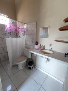 a bathroom with a toilet and a sink at Casa temp. barreirinhas in Barreirinhas