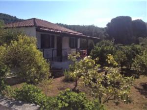 Zahrada ubytování Kaiti Villa 4