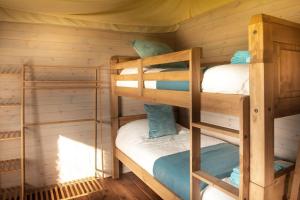 a bunk bed room with two bunk beds in a cabin at Troney Valley Escapes - Hare's Hide in Crediton