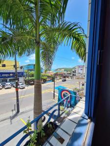 a palm tree on a balcony with a view of a street at Soul Hostel Natal in Natal