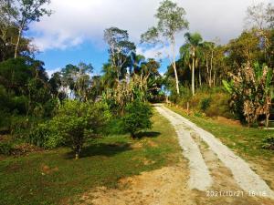 uma estrada de terra no meio de uma floresta em O Brejo Encantado Hospedagem e Pousada em Embu