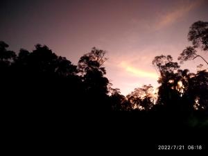 una silueta de árboles con una puesta de sol en el fondo en O Brejo Encantado Hospedagem e Pousada, en Embu