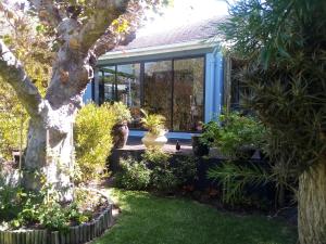 a garden in front of a house with a window at Tranquility by the sea in Cape Town