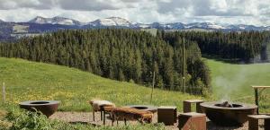 a view of a hill with a fire pit and mountains at Villa Roc in Grünenbach