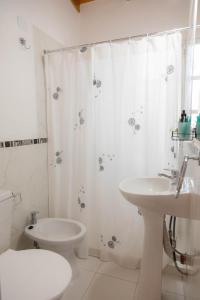 a bathroom with a sink and a toilet and a shower curtain at Mamma, Esquel. in Esquel