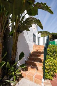 Casa Hibiscus Marbella外面的花园