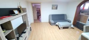 TV o dispositivi per l'intrattenimento presso Apartman Progresso