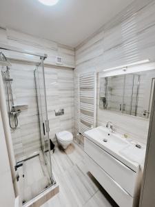 a bathroom with a toilet and a sink and a shower at Cazare Vicoveancaa in Vicovu de Jos +25 photos