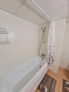 Koupelna v ubytování Spacious studio apartment in city center Tallinn