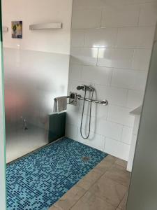 a bathroom with a shower with a blue tile floor at Hostal - Restaurante Asador Esperanza in Huesca