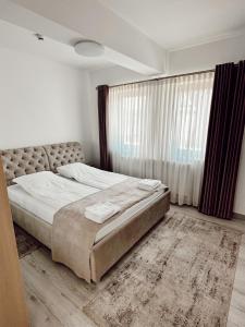 Vicovu de Jos的住宿－Cazare Vicoveancaa，一间卧室设有一张大床和一个大窗户