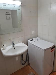 Un baño con lavabo y lavadora. en Spacious studio apartment in city center Tallinn, en Tallin