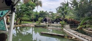 a pool of water in front of a house at Sumatera tropical Tepikolam in Bohorok