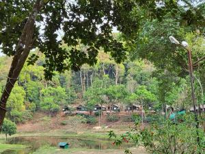 a group of houses in a forest next to a river at Three Hills Resort Coorg in Madikeri