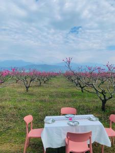 a table with pink chairs in a field with trees at Mestvireni in Tʼelavi