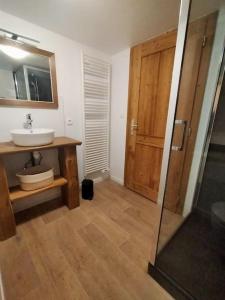 W łazience znajduje się umywalka, lustro i prysznic. w obiekcie Aux balcons de la vallée w mieście Soultzeren +33 zdjęcia