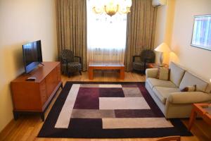 Premium Apartments Baku في باكو: غرفة معيشة مع أريكة وتلفزيون