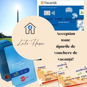 a graphic of a visa agent and a visa home incentive document at LETO House in Târgu Jiu