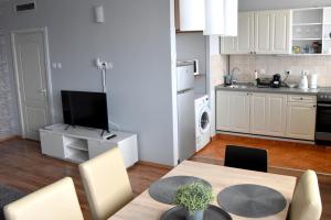 Kuchyňa alebo kuchynka v ubytovaní Panorama View Apartment + 18 fotografií