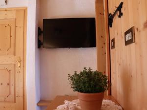 a room with a potted plant and a television on a wall at Portnerhof auf Oberkirn in Schenna
