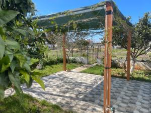 Villa Denis Ksamil في كساميل: شرفة مع مظلة خضراء في حديقة