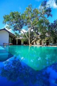 坦加拉的住宿－Stuart House Tangalle，一座房子前面的游泳池,上面有树