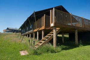 una casa de madera con escaleras en un campo en Troney Valley Escapes - Owl's Den en Crediton