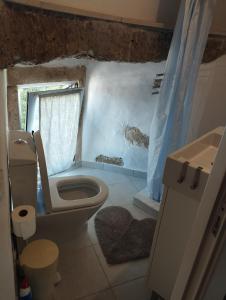 カルダス・ダ・ライーニャにあるMoinho Branco (molen)のバスルーム(トイレ、窓、シンク付)