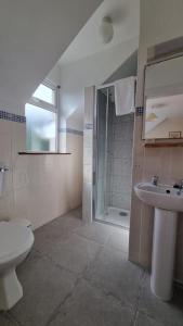 a bathroom with a toilet and a sink and a shower at Kerry Lee Homes in Tralee +9 photos
