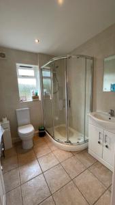 uma casa de banho com um chuveiro, um WC e um lavatório. em Swallows Retreat em Fordingbridge