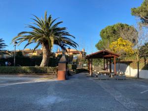 a bus stop with a shelter and a palm tree at Apartament per parelles reformat amb piscina in Calella de Palafrugell